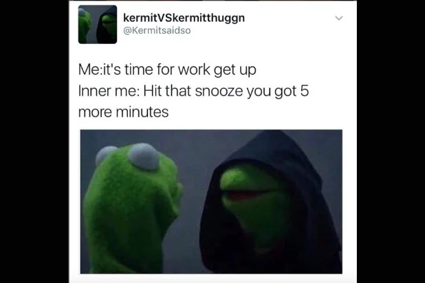 kermit meme